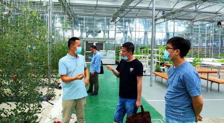 天使翼携手省农科院推进模块化植物工厂项目科技成果转化