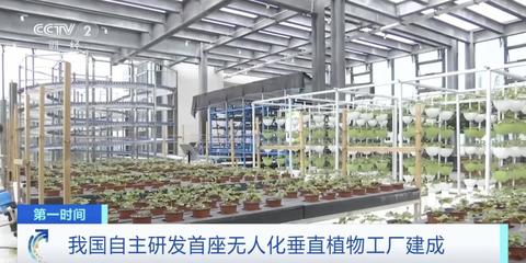 世界首例!我国自主研发!无人化垂直植物工厂 在20层“高楼”里种菜