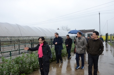 李伊林带队到四川农业大学崇州现代农业研发基地调研农业科技创新驱动--加强市校合作 不断推进雅安农业高质量发展