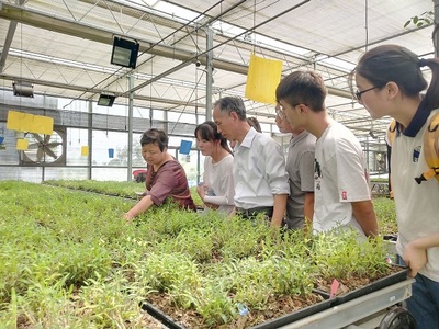 【暑期“三下乡”活动系列报道】生物与食品工程系“科技助农和青年红助梦之旅”实践团在同济生生物科技种苗培育基地考察